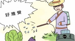 農殘檢測儀！食品安全檢測中不可少的一環(huán)