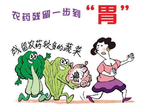 白菜農(nóng)殘你知道多少呢？