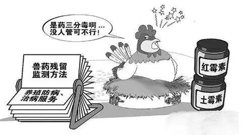 如何利用食品安全檢測儀來維護食品安全？