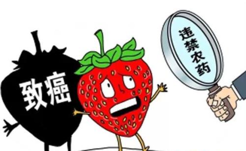 孩童的飲食安全如何注意？
