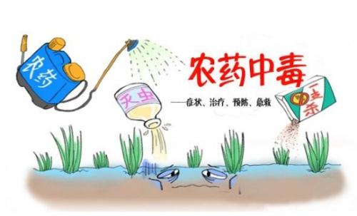 合適的蔬菜如何來選擇？